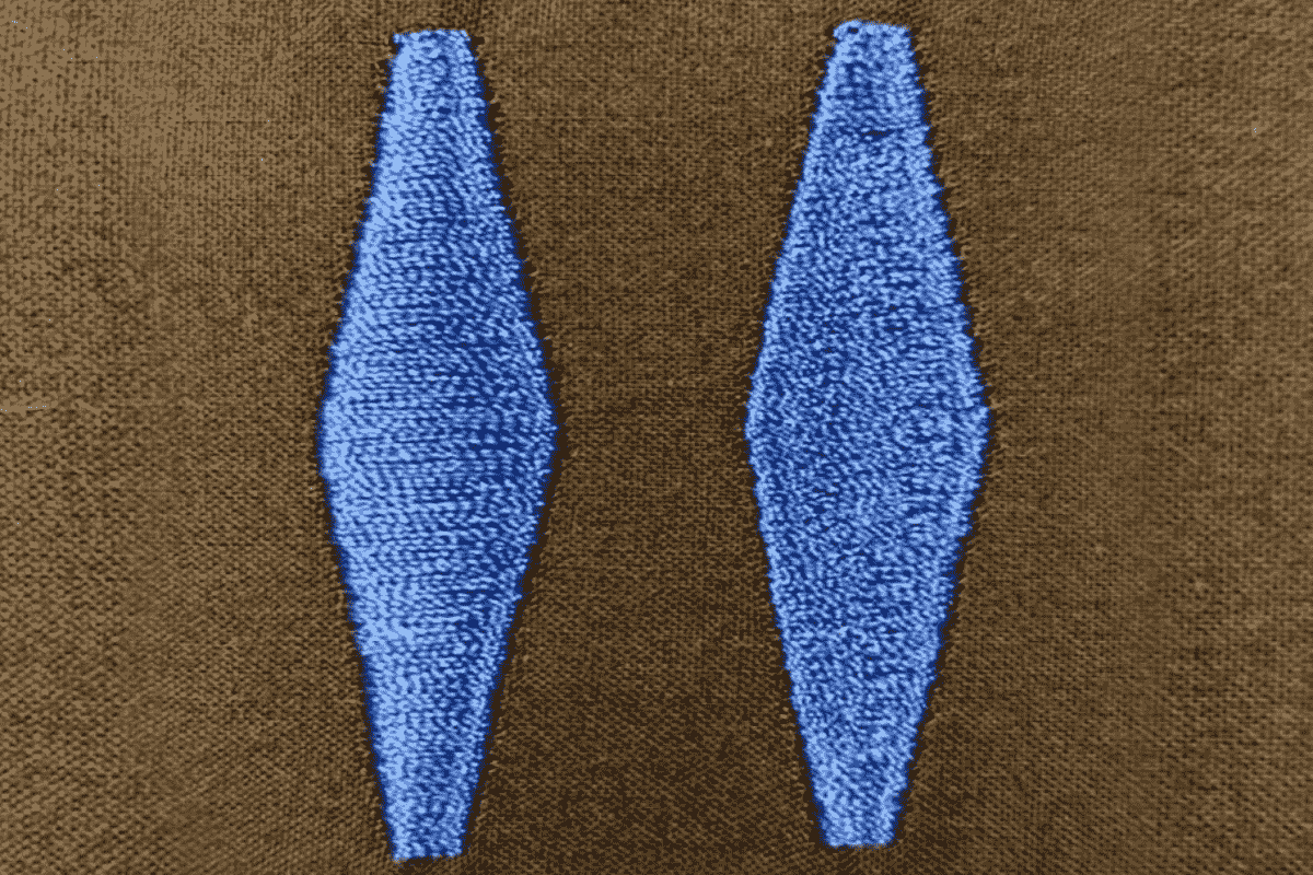Fill Stitch