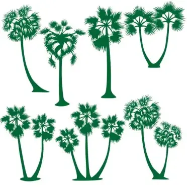 Cambodia Sugar Palm Tree SVG Cuttale Design