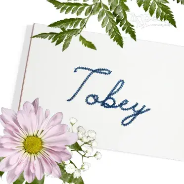 Dakota Script Chain Stitch Embroidery Font