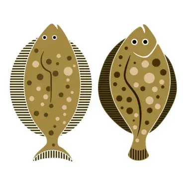 Flatfish Flat Fish SVG Cuttable Design