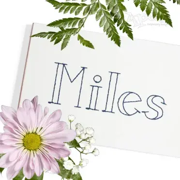 Quinn Sketch Embroidery Font