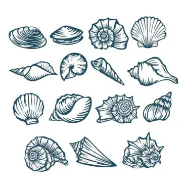 Seashells Pack SVG Cuttable Design