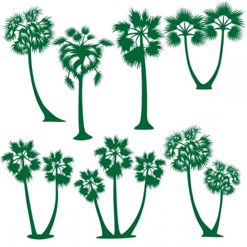 Cambodia Sugar Palm Tree SVG Cuttale Design