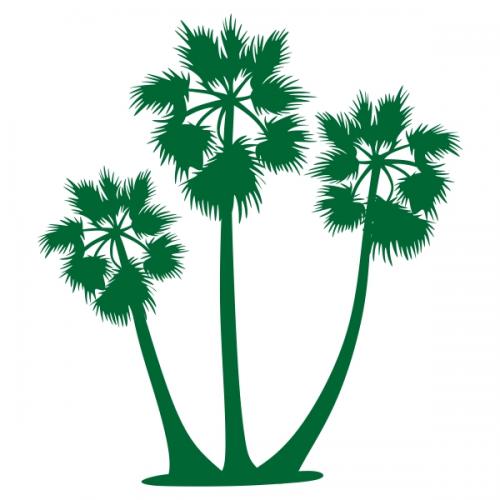 Cambodia Sugar Palm Tree SVG Cuttale Design