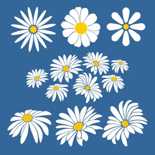 Daisy Flower SVG Cuttable Designs