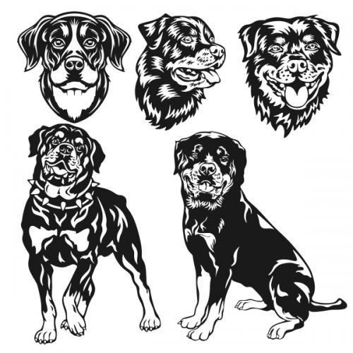 Rottweiler dog SVG Cuttable Designs