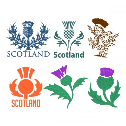Scottish Thistle SVG Cuttable Designs