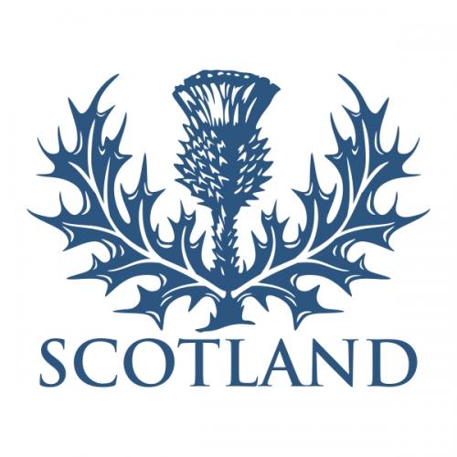 Scottish Thistle SVG Cuttable Designs