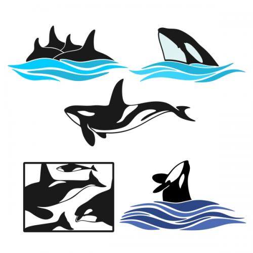 Orcas Pack SVG Cuttable Designs