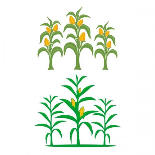 Corn Pack SVG Cuttable Designs