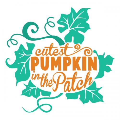 Pumpkin Pack SVG Cuttable Designs