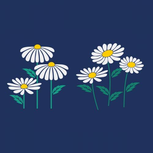 Daisies Flower SVG Cuttable Design