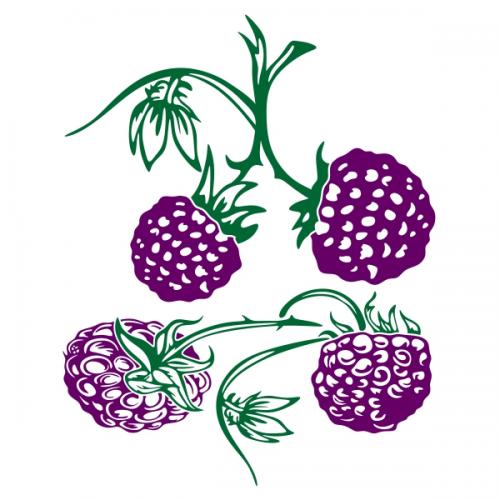 Scottish Berry SVG Cuttable Design