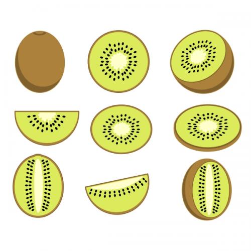 Kiwi Fruit SVG Cuttable Design