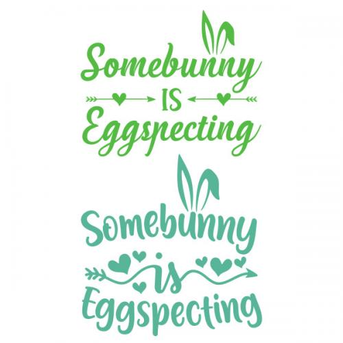 Somebunny is Eggspecting SVG Cuttable Design