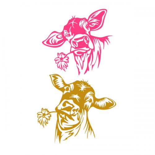 Cute Cow and Daisy SVG Cuttable Design