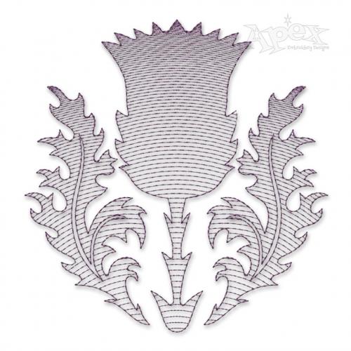 Scottish Thistle Flower Sketch Embroidery Designs