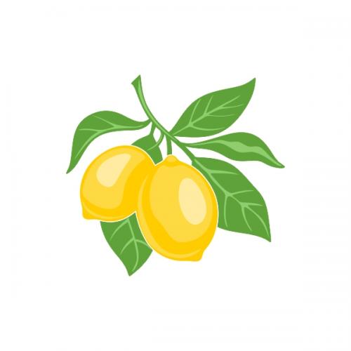 Lemon SVG Cuttable Designs
