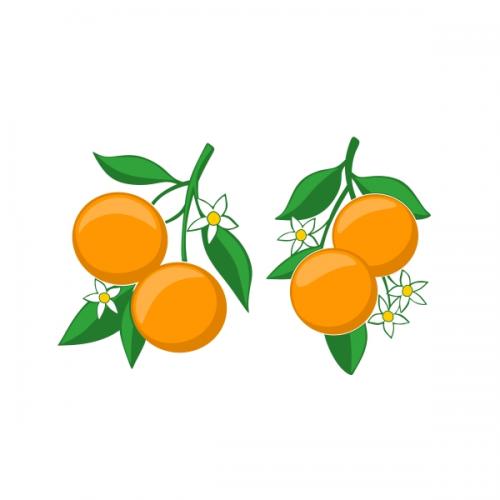 Orange SVG Cuttable Designs