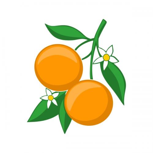 Orange SVG Cuttable Designs