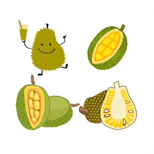 Tropical Jackfruit Fruit Pack SVG Cuttable Design