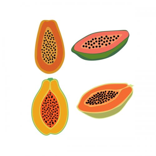 Tropical Papaya Fruit Pack SVG Cuttable Design