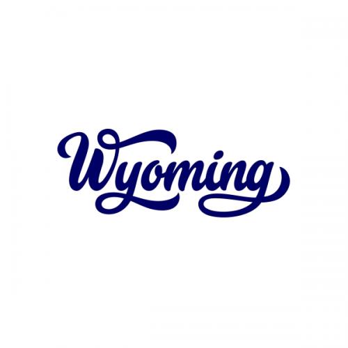 Wyoming Bison Silhouette SVG Cuttable Design
