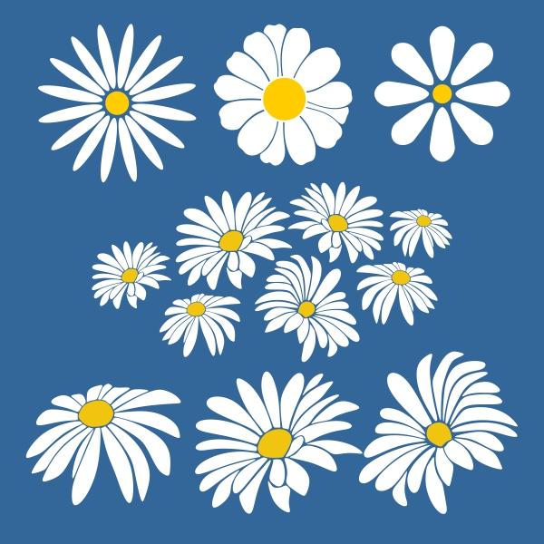 Free Free 125 Cricut Daisy Flower Svg SVG PNG EPS DXF File