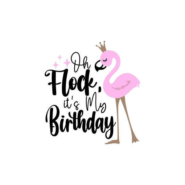 Oh Flock I'm 70 Geburtstags-Banner – Glitzernd, 177 Cm, Für Hawaii-Party & Foto-Props