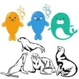 Seal svg cuttable designs