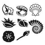 Seashell Svg Cuttable Designs