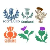 Scottish Thistle SVG Cuttable Designs