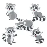 Raccoon Pack SVG Cuttable Designs