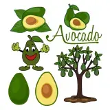 Avocado SVG Cuttable Designs