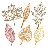 Leaf Pack SVG Cuttable Designs
