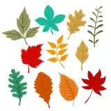 Autumn Leaves SVG Cuttable Designs
