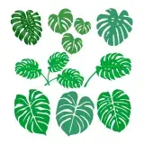 Banana Leaves SVG Cuttable Designs