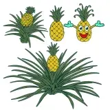 Pineapple SVG Cuttable Designs