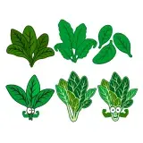 Spinach SVG Cuttable Designs