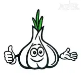 Garlic Embroidery Designs