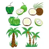 Coconut Tree SVG Cuttable Designs