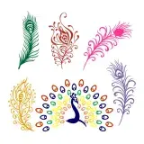 Peacock Feathers SVG Cuttable Designs