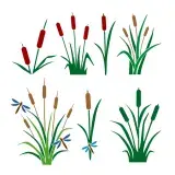 Cattails Pack SVG Cuttable Designs