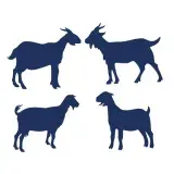 The Goast SVG Cuttable Designs