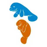 Manatee SVG Cuttable Designs