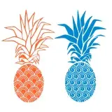 Pineapple SVG Cuttable Designs