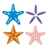 Star Fish Pack SVG Cuttable Designs