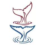 Whale Tail SVG Cuttable Files