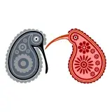 New Zealand Flourish Kiwi Birds Cuttable Designs