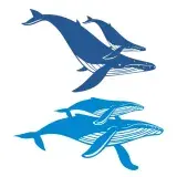 Mother and Calf Humpback Whales SVG Cuttable Designs